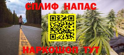 скорость Пугачёв
